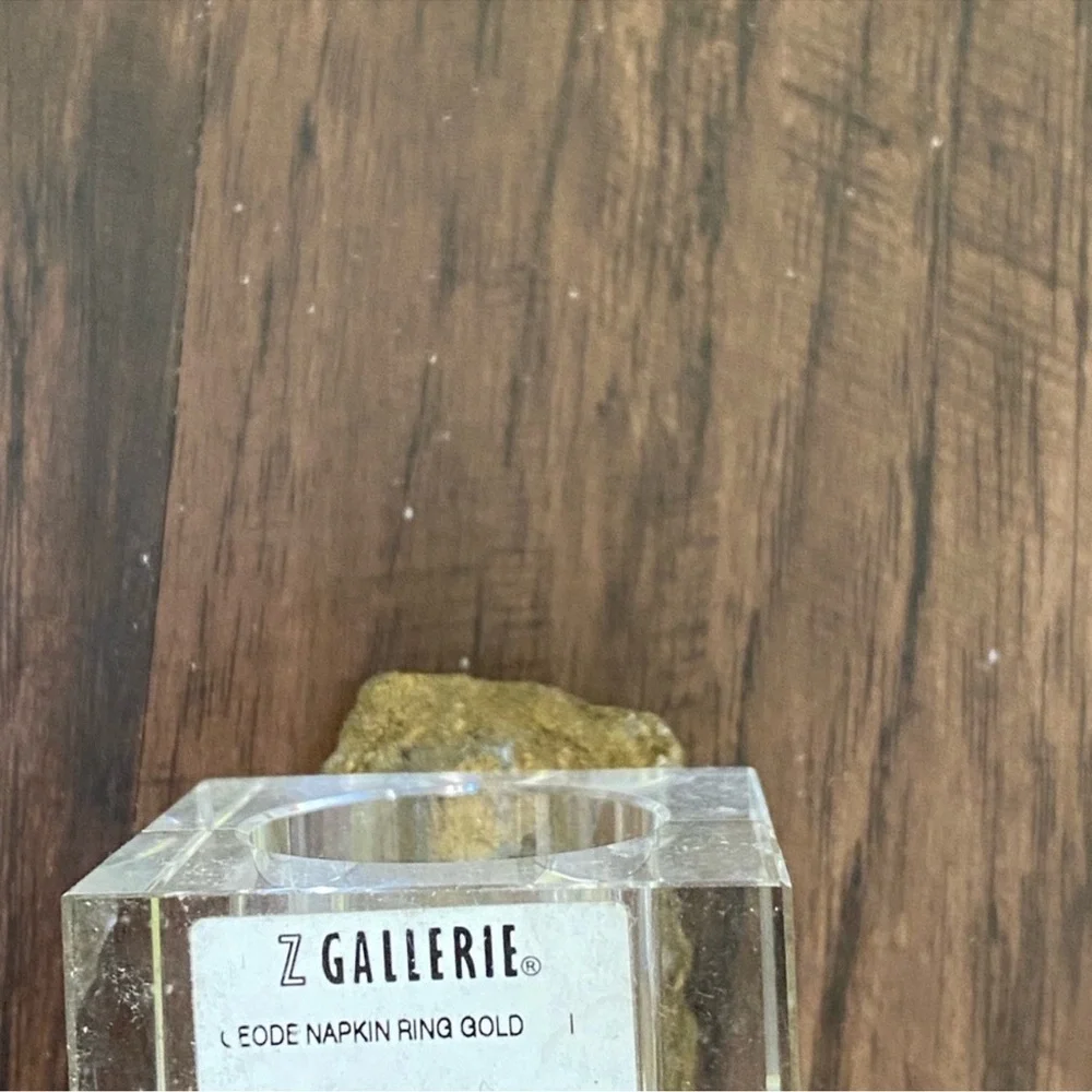 Z Gallerie napkin ring in gold set of two size 2”